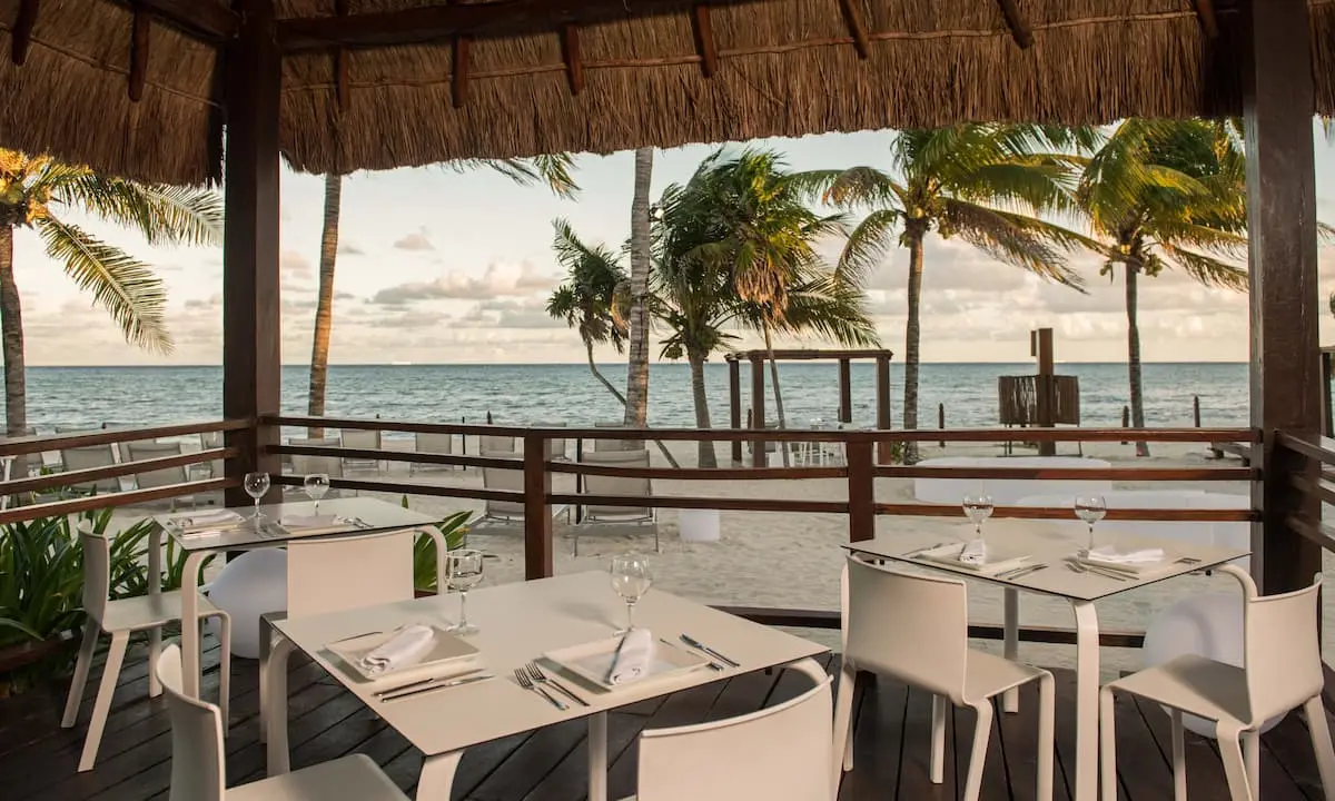Mesa de comedor con sillas bajo palapa, frente al mar y palmeras.