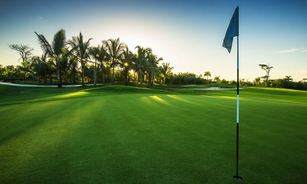 Campo de golf verde con palmeras y bandera azul al atardecer