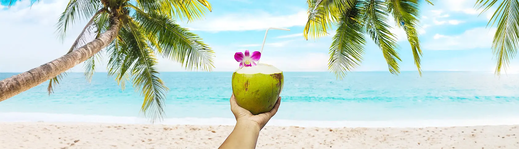 Mano sostiene un coco verde decorado con flores moradas, en playa tropical