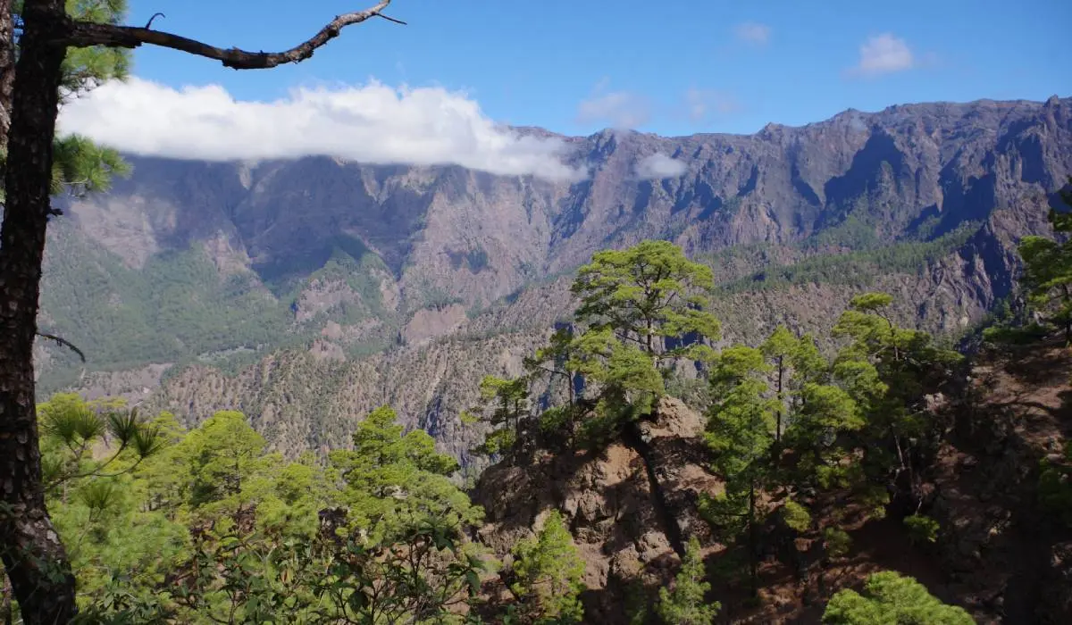 Monta&ntilde;as y bosque verde bajo un cielo azul con nubes sobre el valle.