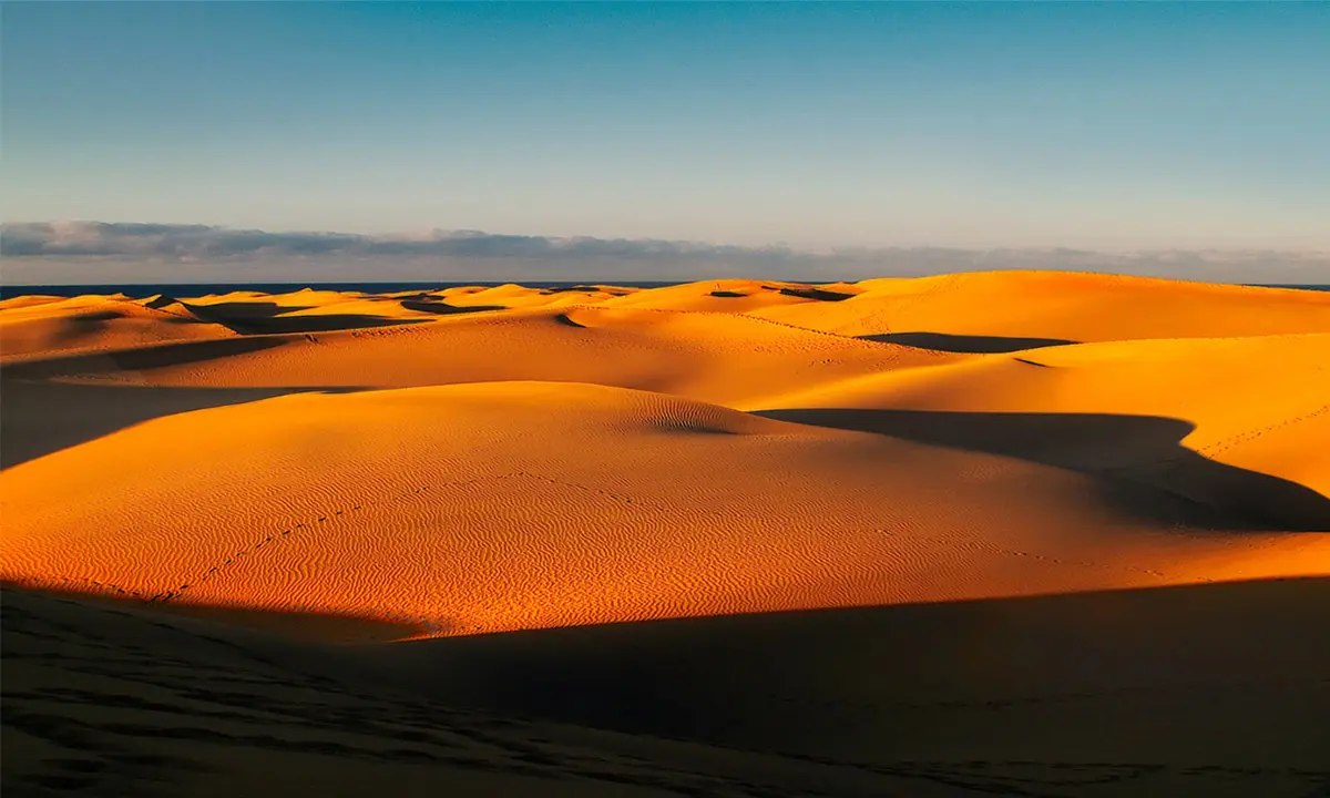 Dunas de arena dorada con cielo azul al atardecer en el desierto
