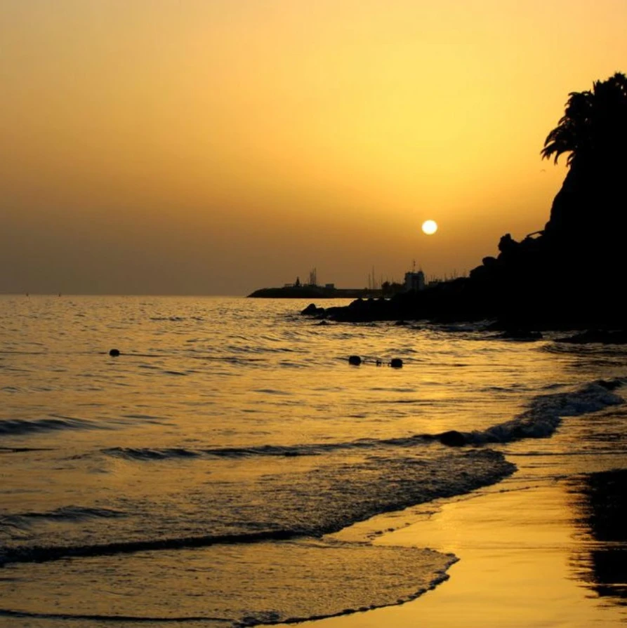 Atardecer dorado en la playa con olas y sol sobre el mar