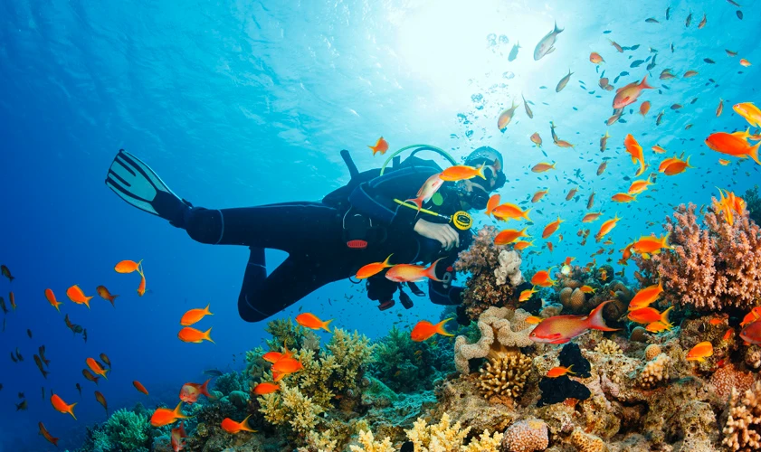 Buceador con traje y aletas junto a un arrecife con peces de colores.