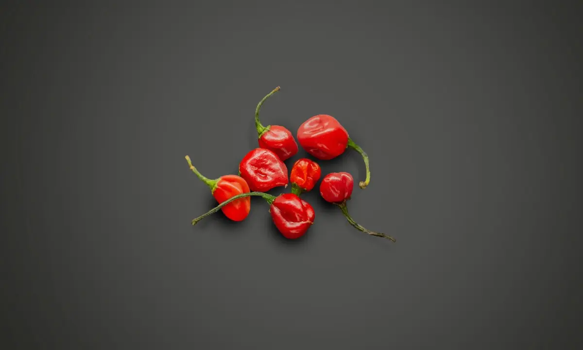 Los chiles más picantes de México - Princess Hotels