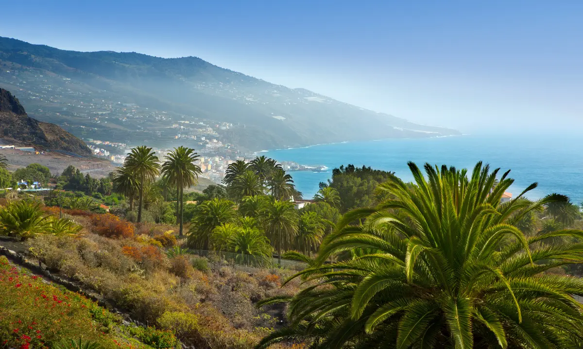 Palmeras y costa del oc&eacute;ano Atl&aacute;ntico con niebla entre monta&ntilde;as