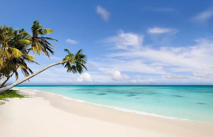Playa tropical con palmeras, arena blanca y mar azul bajo cielo despejado.