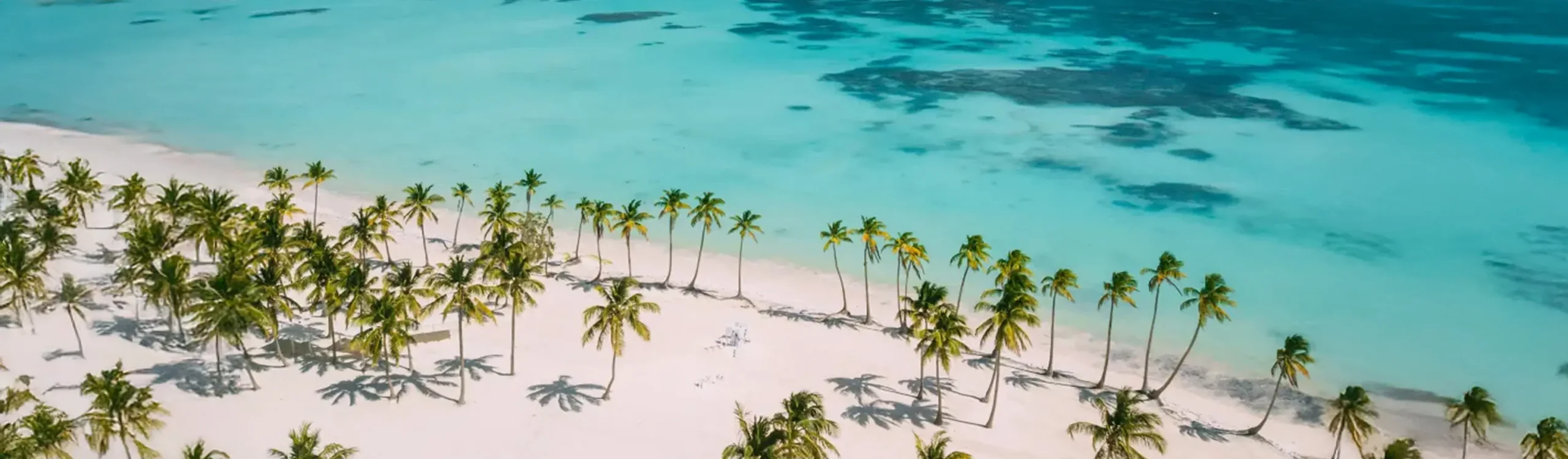 Playa tropical con palmeras y aguas turquesa, reflejos en el mar