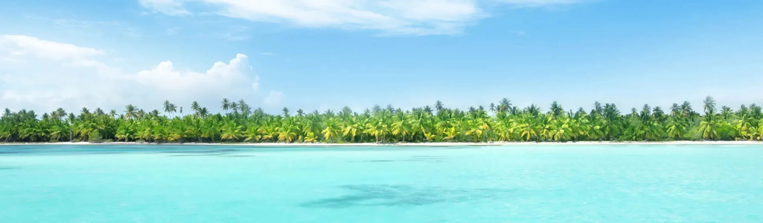 Playa tropical con palmeras y agua turquesa bajo cielo nublado