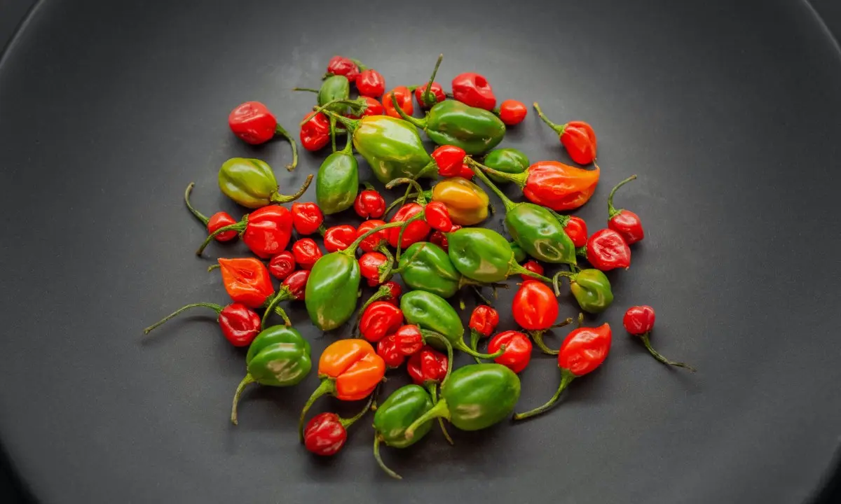 Los chiles más picantes de México - Princess Hotels