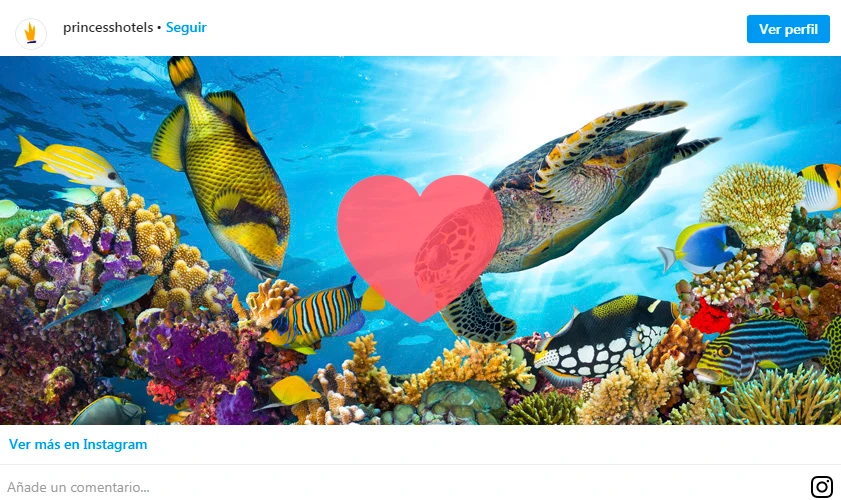 Tortuga y peces nadando sobre arrecife coralino, con coraz&oacute;n rosado al centro