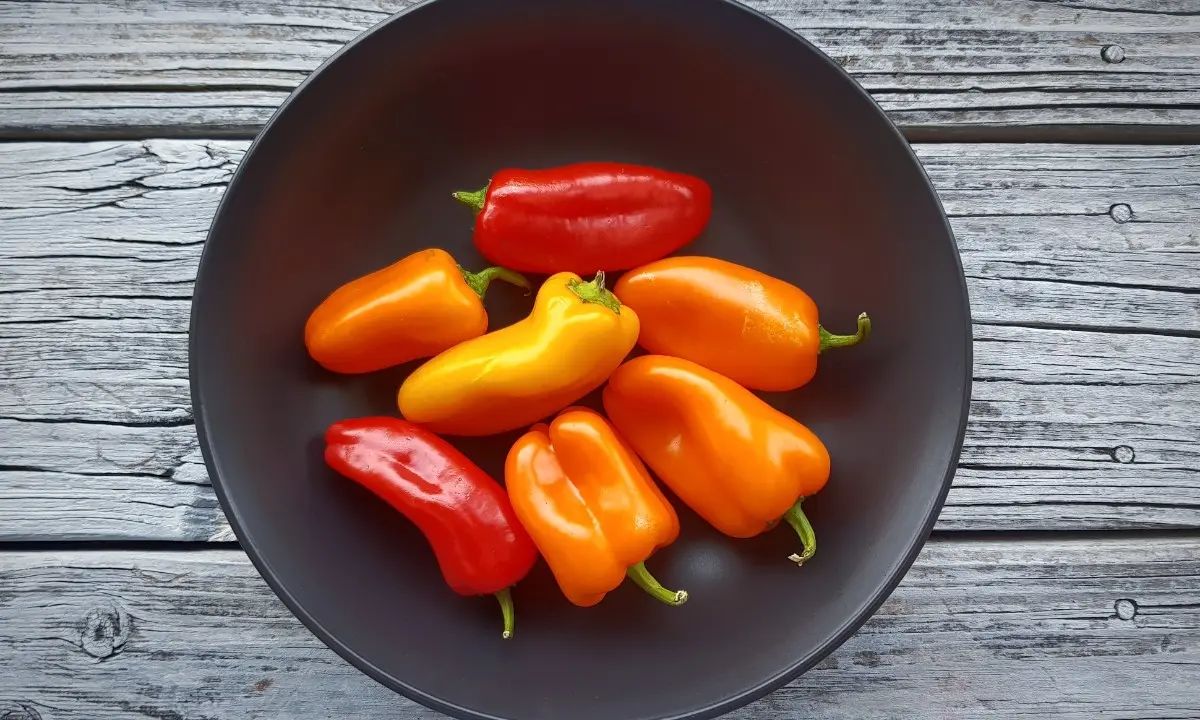 Los chiles más picantes de México - Princess Hotels