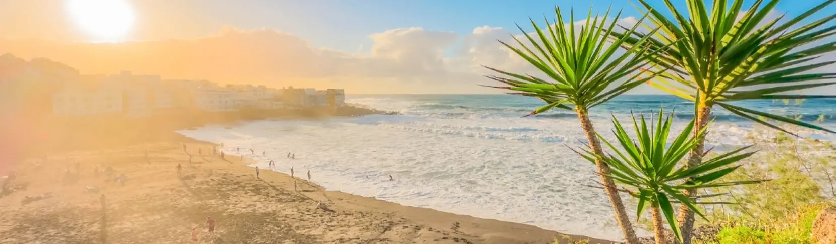 Palmeras frente a la playa, con el sol y el mar al atardecer