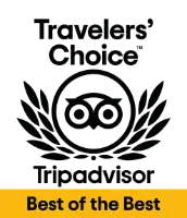 Tarjeta amarilla con el texto &ldquo;Best of the Best&rdquo;.