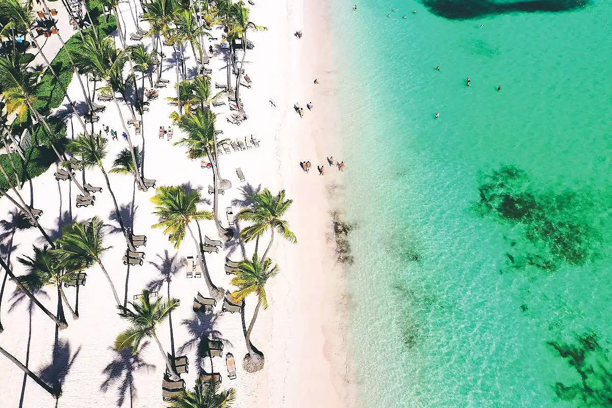 Playa tropical con palmeras y ba&ntilde;istas en aguas turquesa, vista a&eacute;rea.