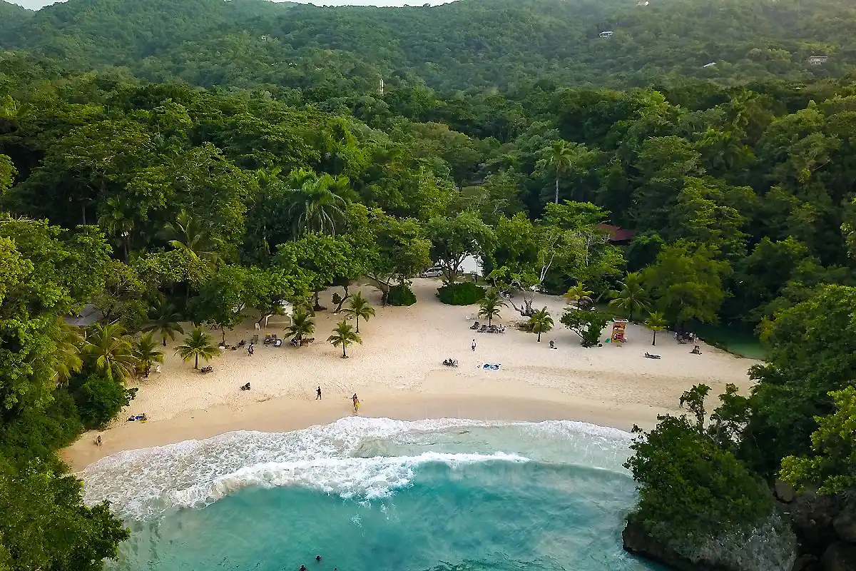 Playa tropical de arena blanca con palmeras y selva alrededor, vista a&eacute;rea.