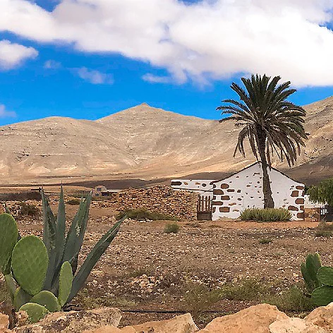 Casa blanca con techo de tejas y palmera en un paisaje des&eacute;rtico monta&ntilde;oso