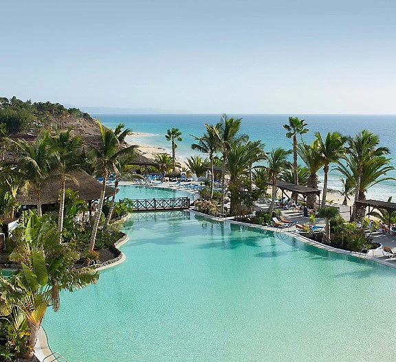 Piscina con palmeras y vistas al mar en un resort tropical.
