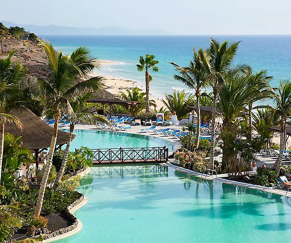 Piscina junto al mar con palmeras y tumbonas en un resort tropical.