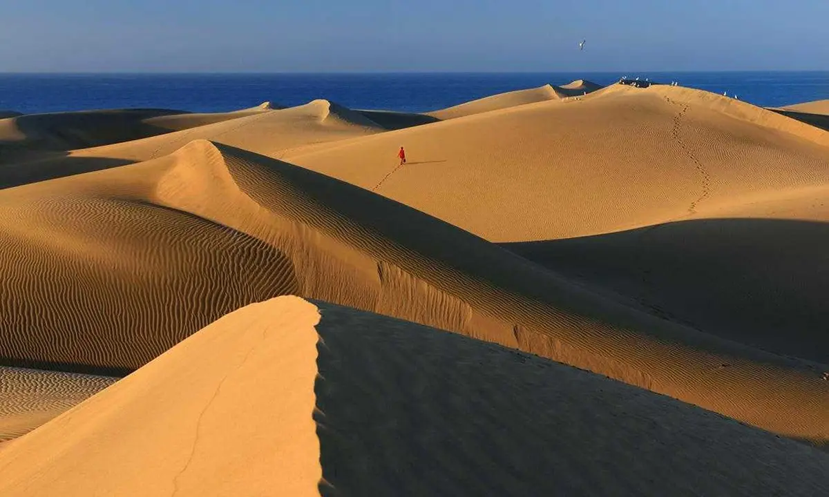 Dunas de arena dorada con huellas, un caminante y el mar al fondo