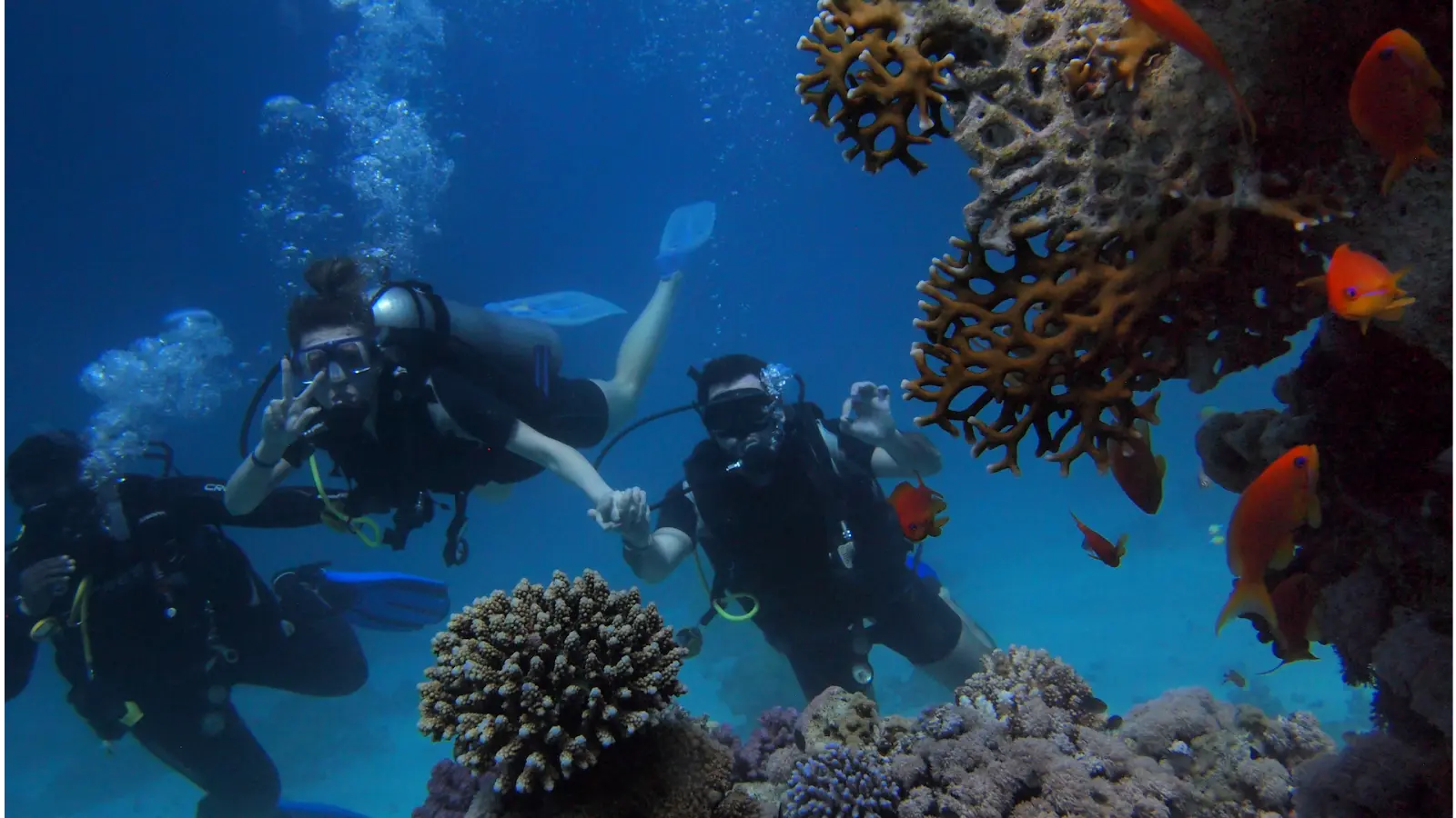 The Canary Island seabed on a diving getaway