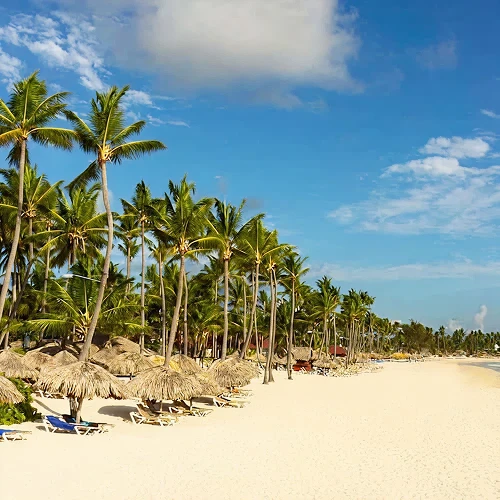 Playa tropical con palmeras y caba&ntilde;as de paja bajo cielo despejado