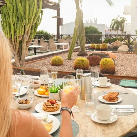 Mesa con desayuno y cactus en terraza al aire libre, junto a la piscina