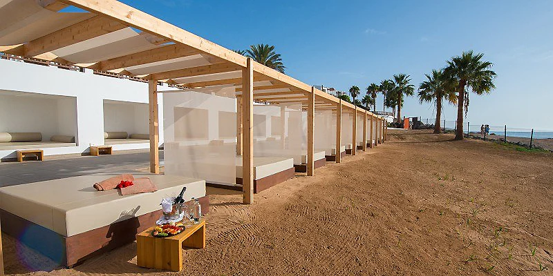 Terraza de resort junto al mar con palmeras y camas de descanso.