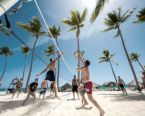 Personas jugando v&oacute;ley de playa bajo palmeras en un d&iacute;a soleado