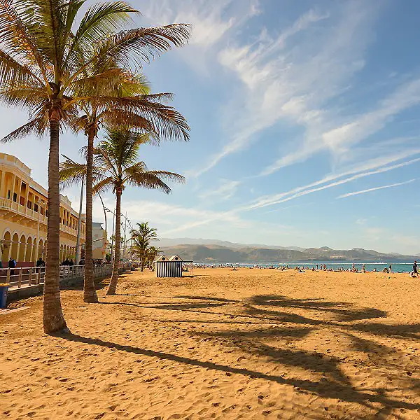 Playa con palmeras, arena y edificio junto al mar, cielo con nubes.