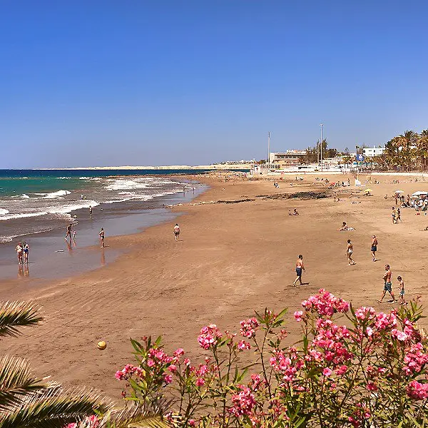 Playa con gente paseando y flores rosadas en primer plano, cielo azul