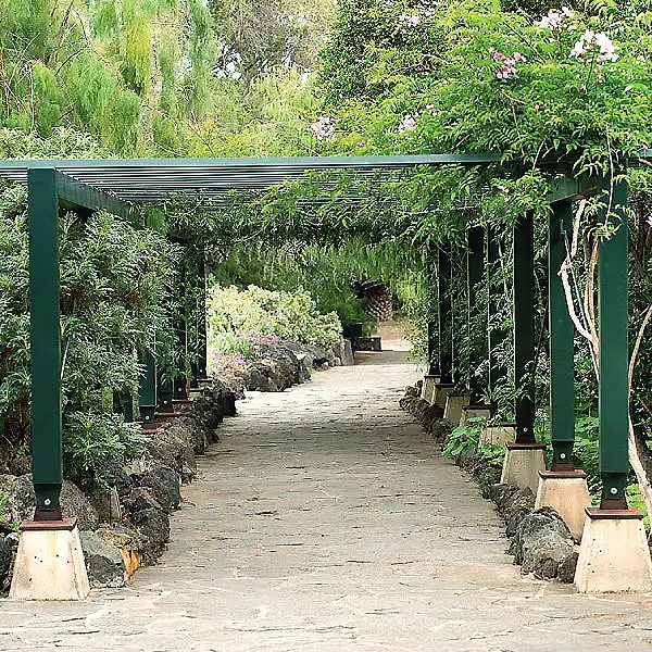 Camino de piedra bajo un arco verde, rodeado de vegetaci&oacute;n exuberante.