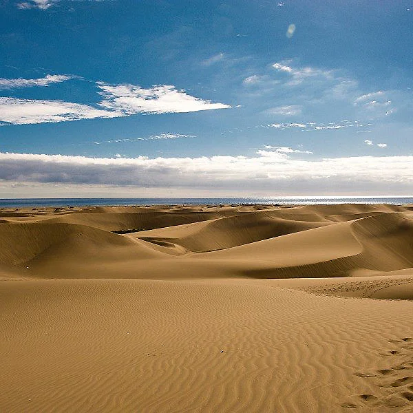 Dunas doradas y playa al atardecer con cielo azul y nubes.