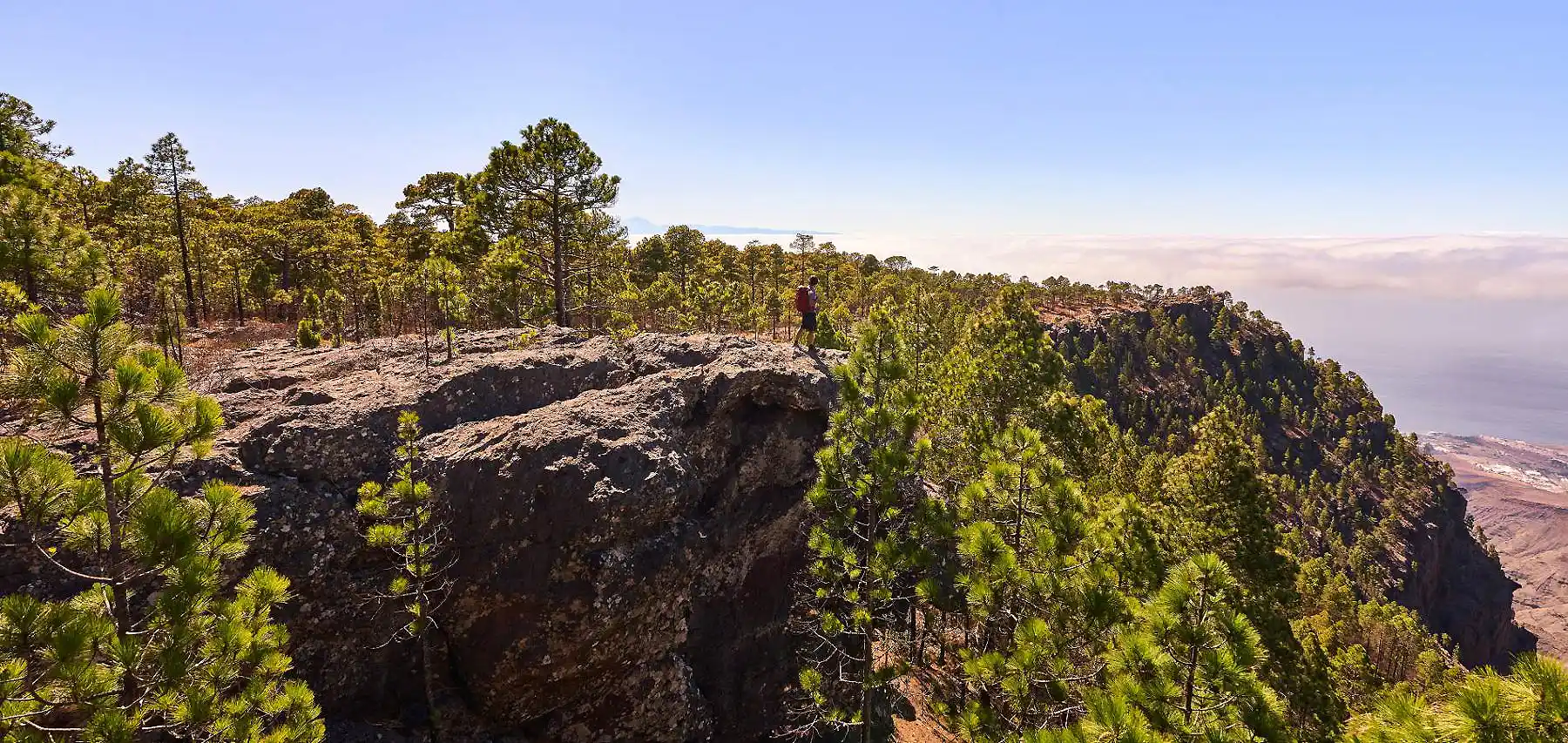 Persona en roca junto al oc&eacute;ano, rodeada de &aacute;rboles y cielo despejado