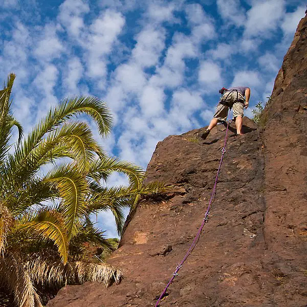 Persona escalando una pared rocosa con cuerda, junto a palmeras y cielo azul