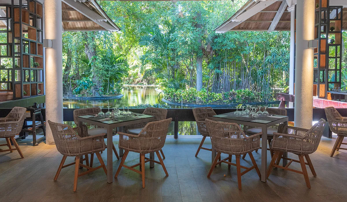 Terraza con mesas y sillas mirando un r&iacute;o entre vegetaci&oacute;n tropical.