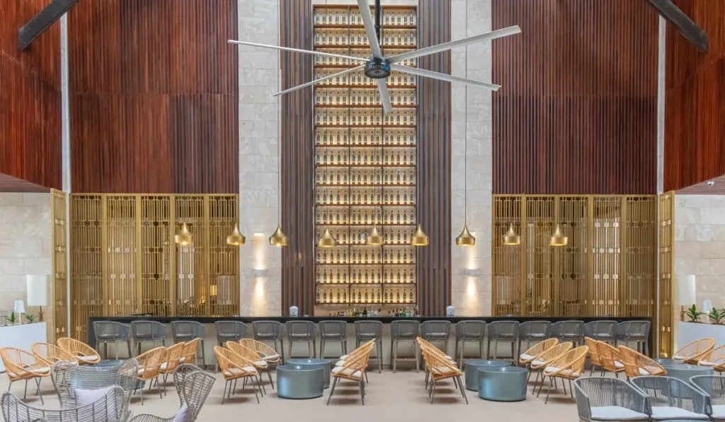 Bar con sillas de rat&aacute;n y estanter&iacute;a de botellas al fondo, iluminaci&oacute;n c&aacute;lida.
