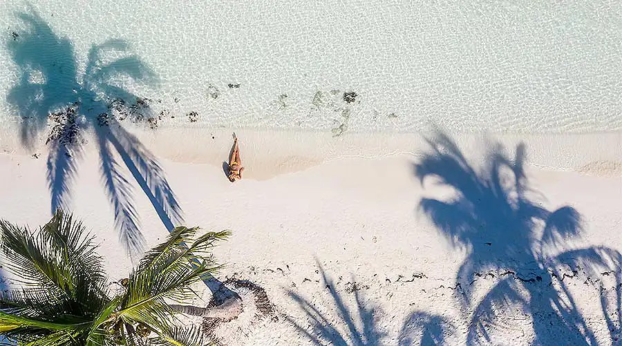 Palmera y sombras en la playa, con una persona volando en el aire