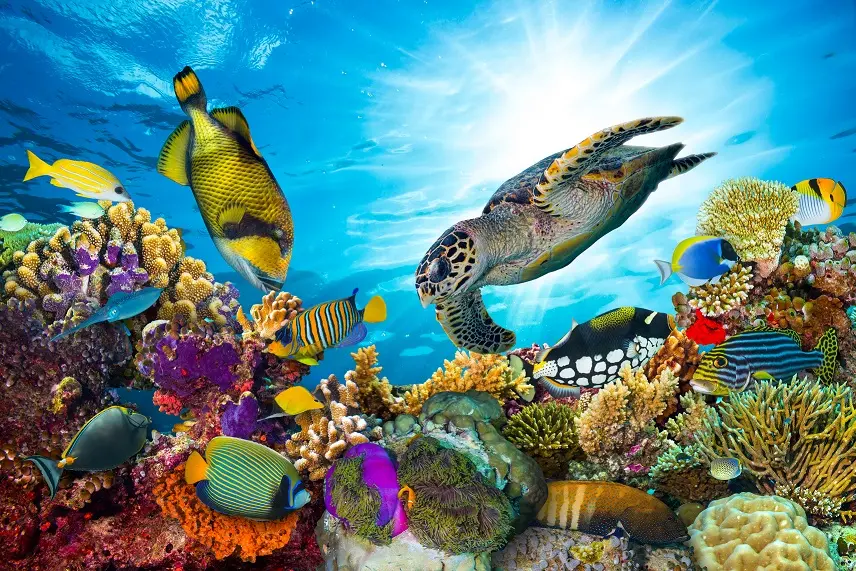Need plans for your vacations in the Dominican Republic? - Princess Hotels