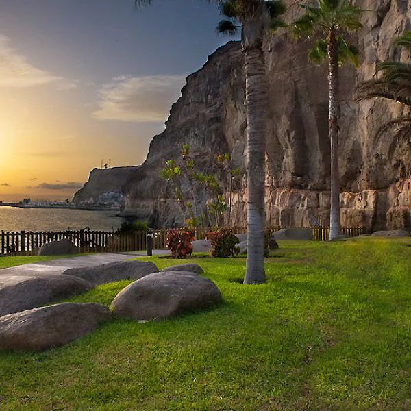 Parque junto al mar al atardecer, palmeras y rocas costeras.