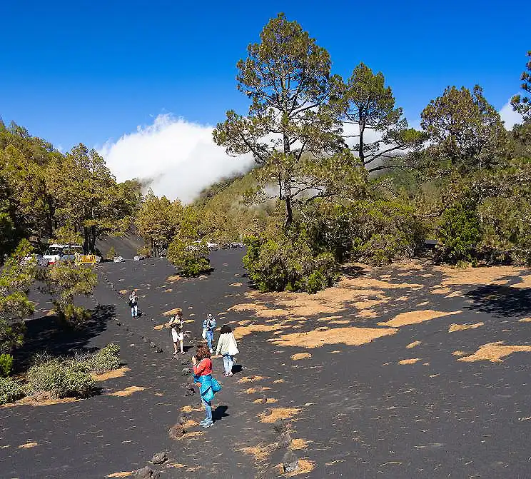 Caminantes en un sendero de monta&ntilde;a entre &aacute;rboles con cielo despejado