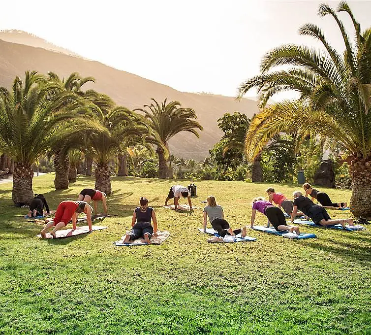 Personas haciendo estiramientos en esterillas sobre un jard&iacute;n con palmeras
