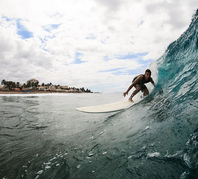 Surfista en una ola en la playa, con palmeras y cielo nublado al fondo.