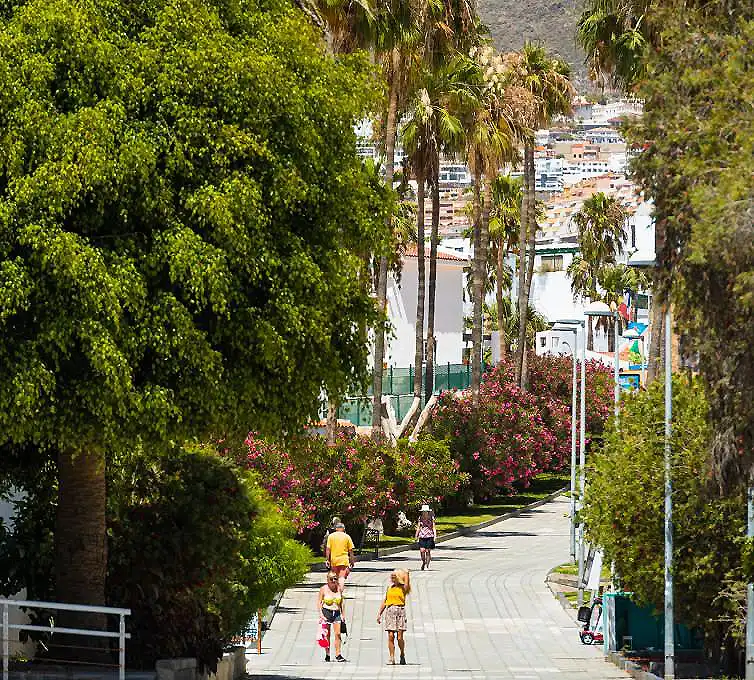 Camino entre palmeras y jardines con personas caminando en el parque