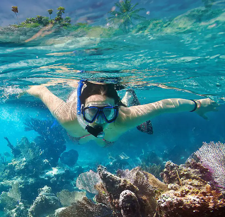 Buceador con m&aacute;scara y snorkel, nadando sobre arrecife tropical bajo el mar