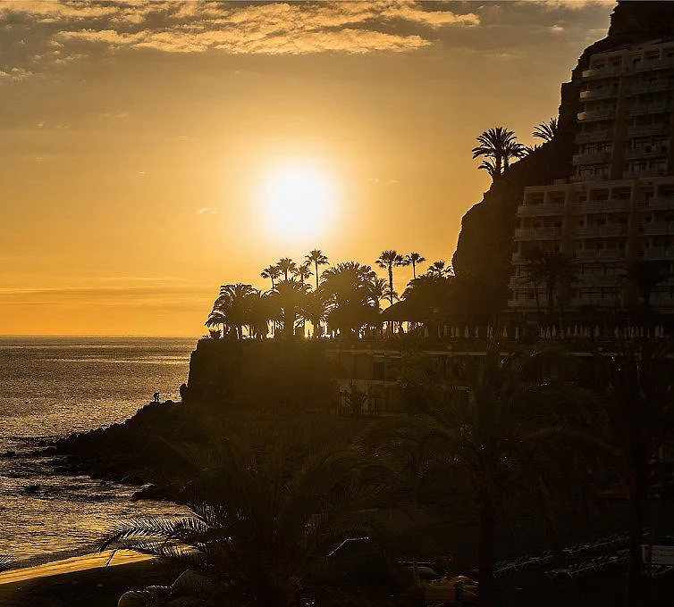 Atardecer sobre el mar con palmeras y edificios al lado del acantilado.