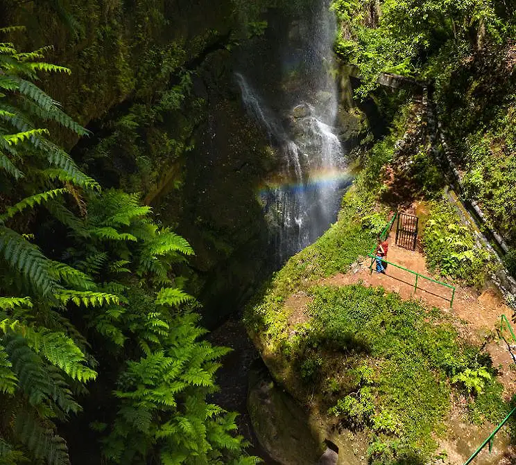 Cascada entre selva verde, con pasarela y barandilla de madera al lado.
