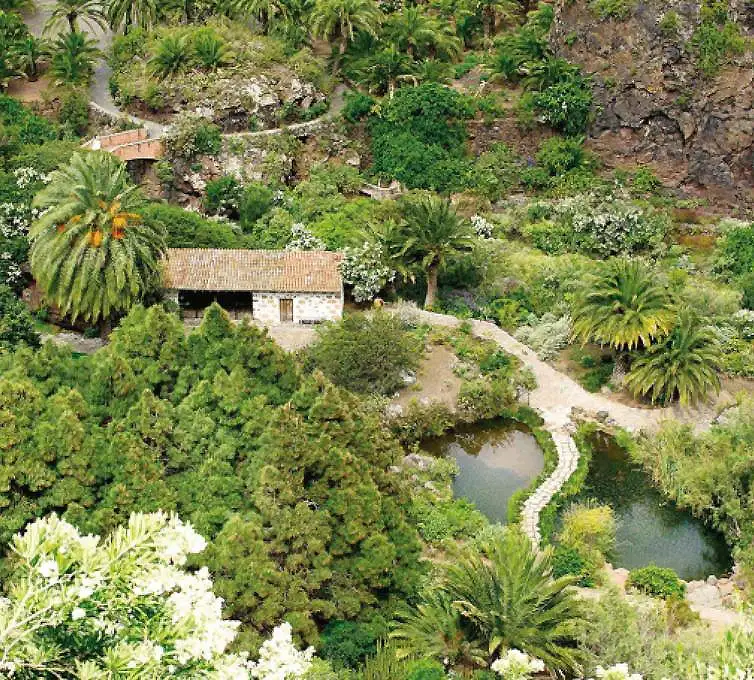 Caseta rural entre palmeras y vegetaci&oacute;n, junto a un peque&ntilde;o estanque.