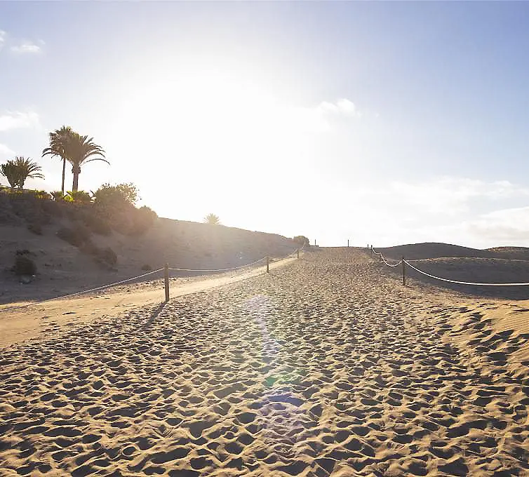 Playa de arena dorada con palmeras, camino de acceso y dunas al atardecer.