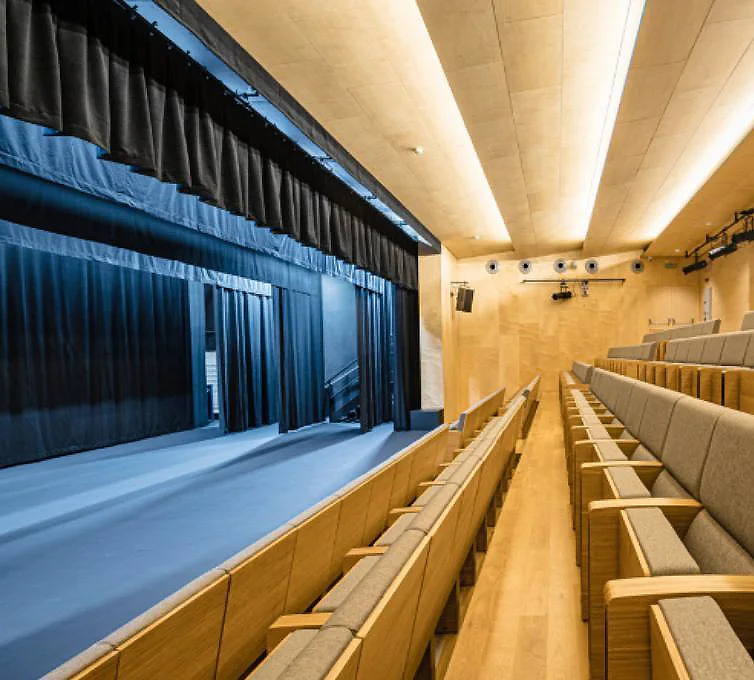 Interior de un teatro: asientos en filas y cortinas oscuras al costado