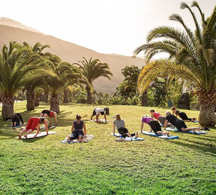 Clase de yoga al aire libre en una finca con palmeras y monta&ntilde;as al fondo